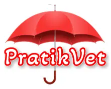 Pratikvet
